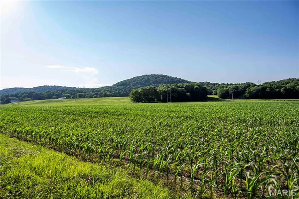 $1,500,000 | 161 Van Booven Lane, Hermann, MO 65041