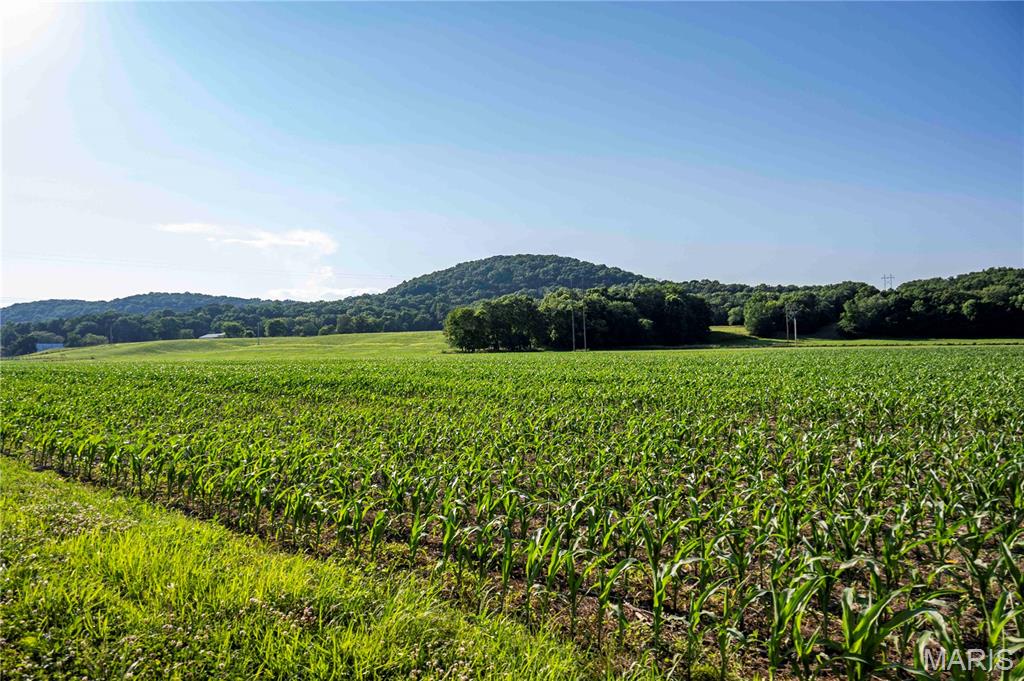 161 Van Booven Lane Hermann, MO 65041 - Photo 80 of 97