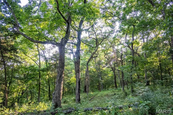 $1,500,000 | 161 Van Booven Lane, Hermann, MO 65041