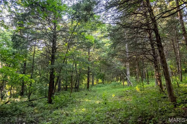 $1,500,000 | 161 Van Booven Lane, Hermann, MO 65041