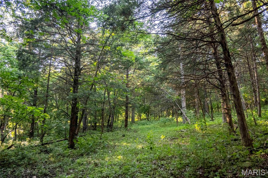 161 Van Booven Lane Hermann, MO 65041 - Photo 91 of 97