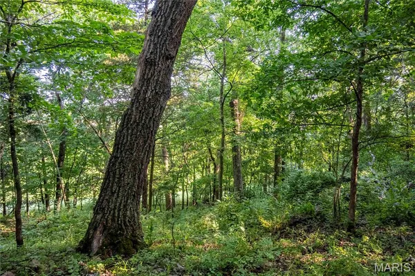 $1,500,000 | 161 Van Booven Lane, Hermann, MO 65041