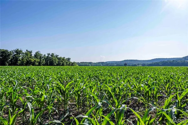 $1,500,000 | 161 Van Booven Lane, Hermann, MO 65041