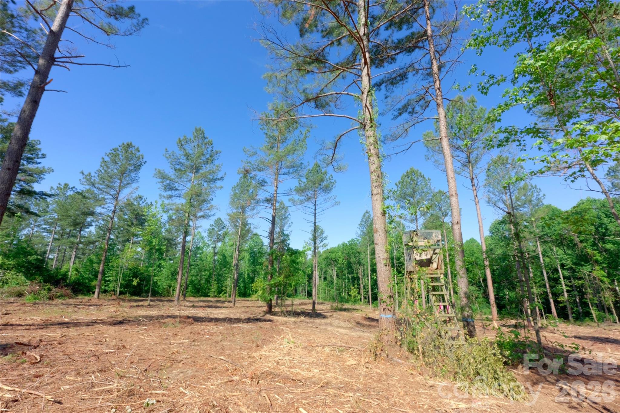 0 Carson Road, Unit 6 Cleveland, NC 27013 - Photo 8 of 17