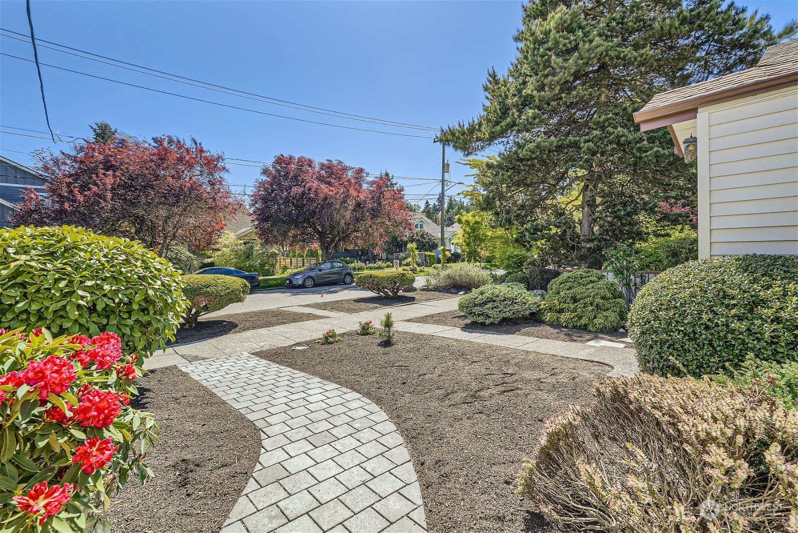 730 North 67th Street Seattle, WA 98103 - Photo 22 of 37 a view of a garden with plants and large trees