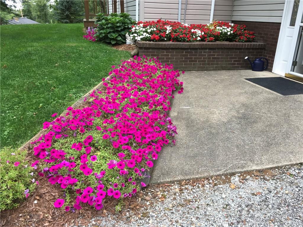 361 Middletown Road New Stanton, PA 15672 - Photo 38 of 43 a view of a flowers in front of flowers