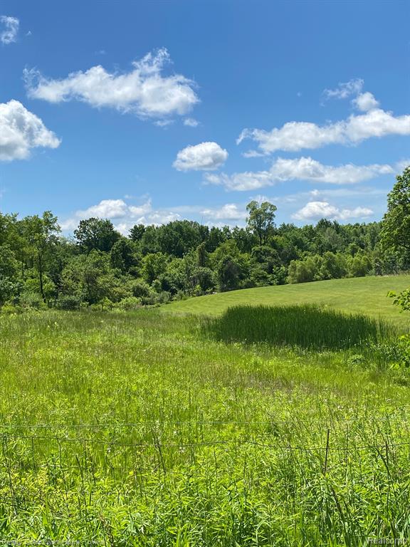 0 Ravenswood Road Goodells, MI 48027 - Photo 2 of 6