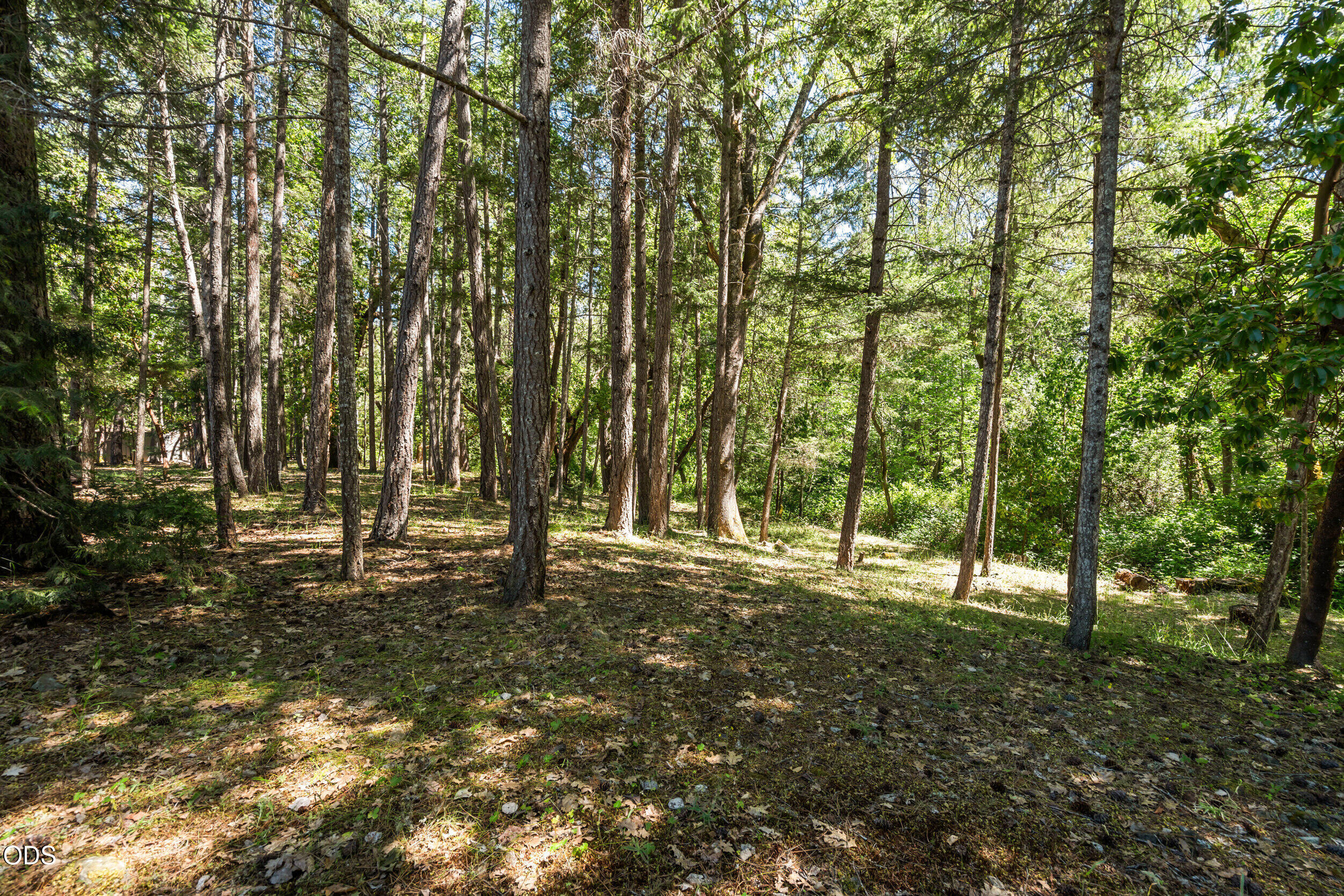 693 Horizon Hills Road Williams, OR 97544 - Photo 49 of 60