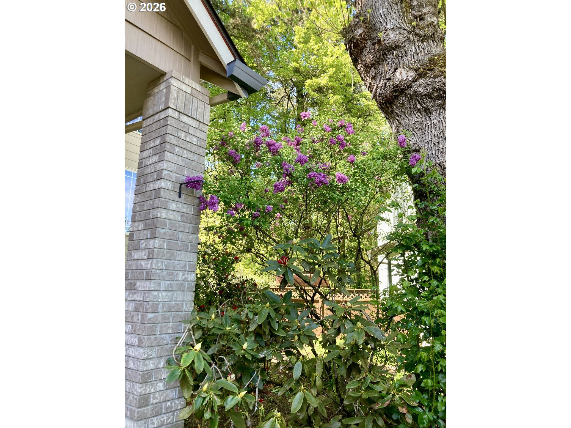4366 Berry Lane Eugene, OR 97404 - Photo 40 of 42