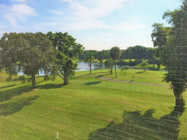 a view of a park with large trees