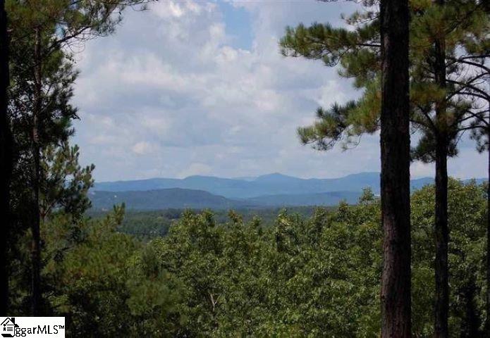 113 Stone Cove Road Sunset, SC 29685 - Photo 1 of 17