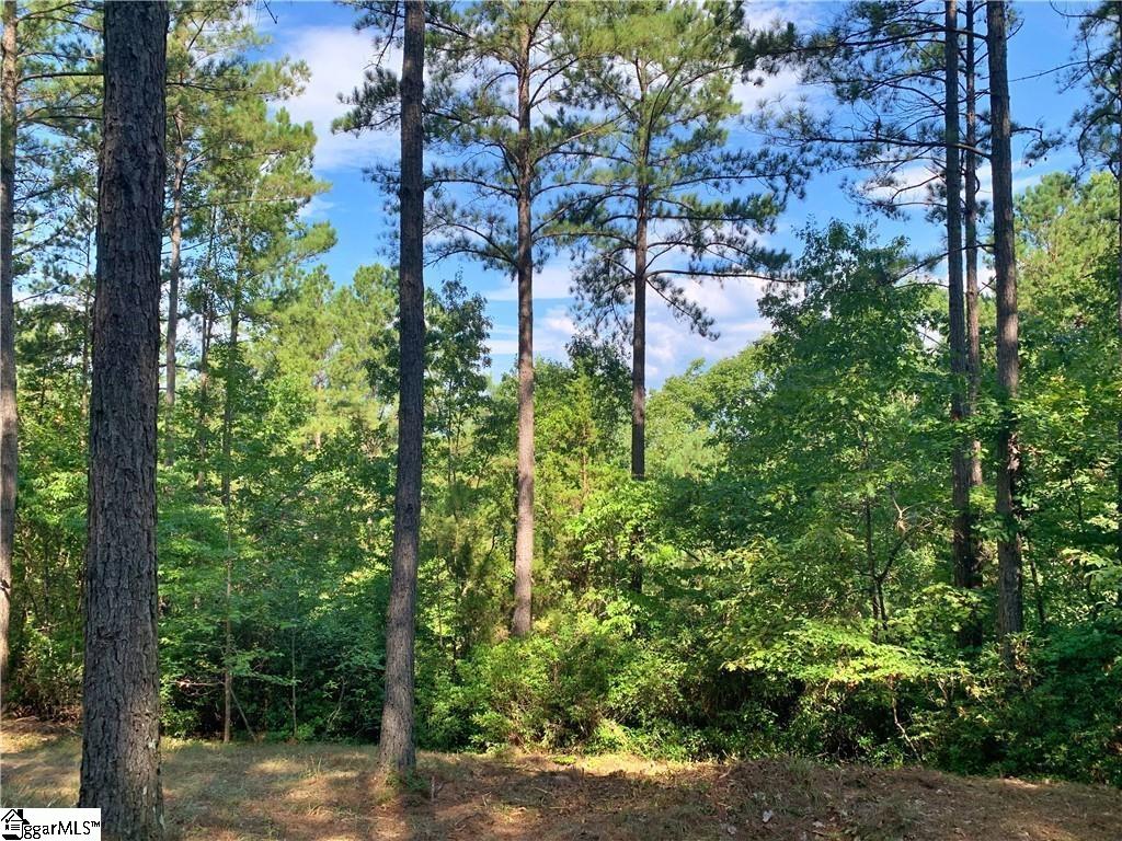 113 Stone Cove Road Sunset, SC 29685 - Photo 2 of 17