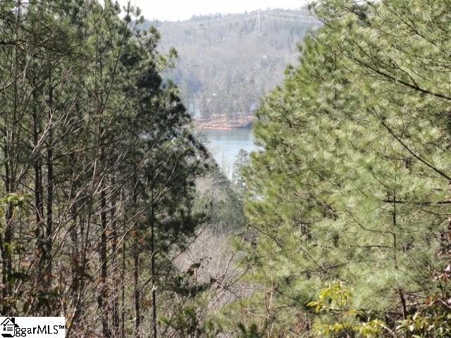 113 Stone Cove Road Sunset, SC 29685 - Photo 4 of 17