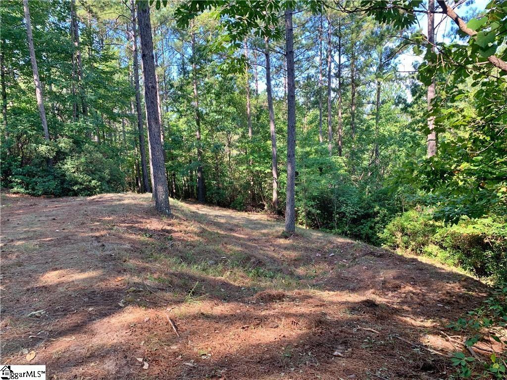 113 Stone Cove Road Sunset, SC 29685 - Photo 5 of 17