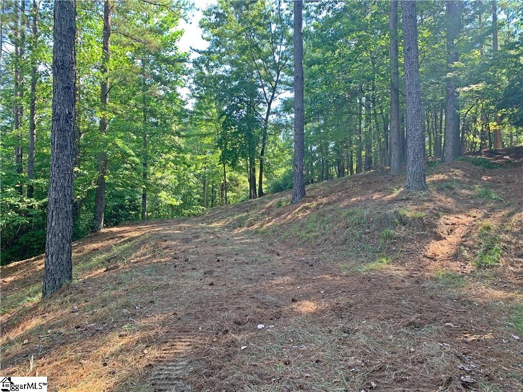 113 Stone Cove Road Sunset, SC 29685 - Photo 6 of 17