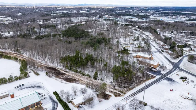a view of a forest with a tree
