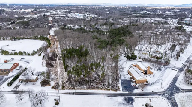 a view of a dry yard with trees