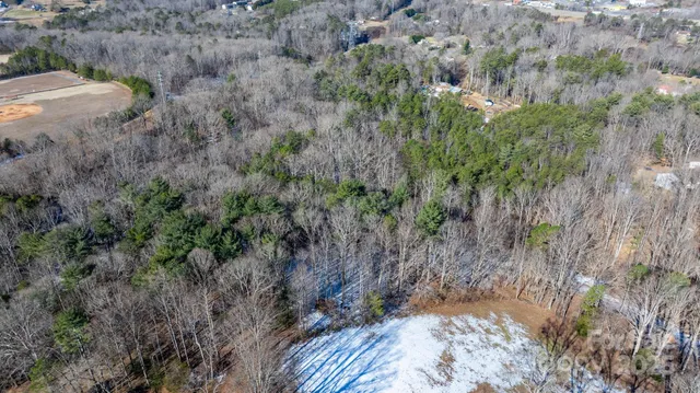 a view of a dry yard with trees
