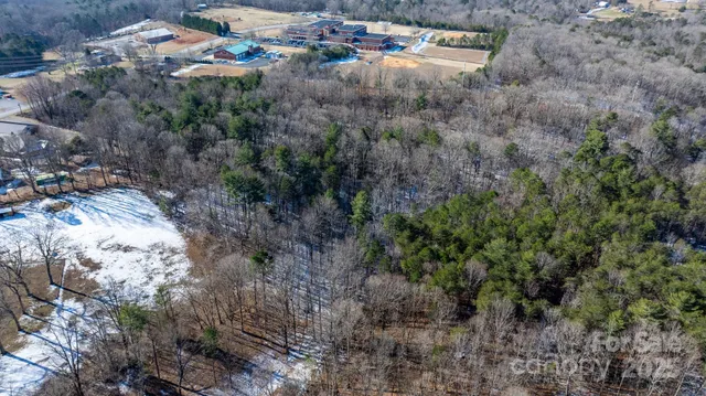 a view of a dry yard