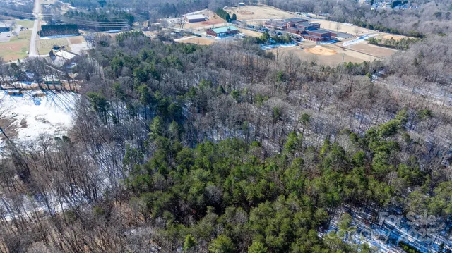 a view of a dry yard with trees