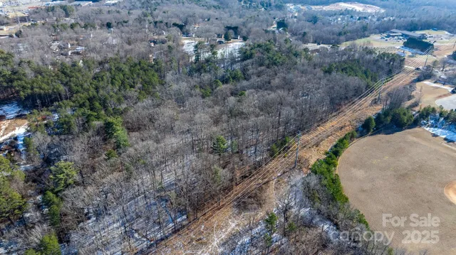 a view of a forest with a street