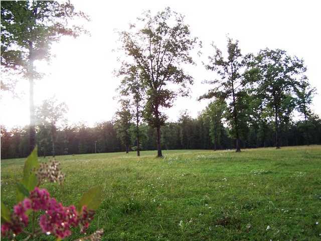 47 Woods Road Dunlap, TN 37327 - Photo 22 of 24 Additional Photo