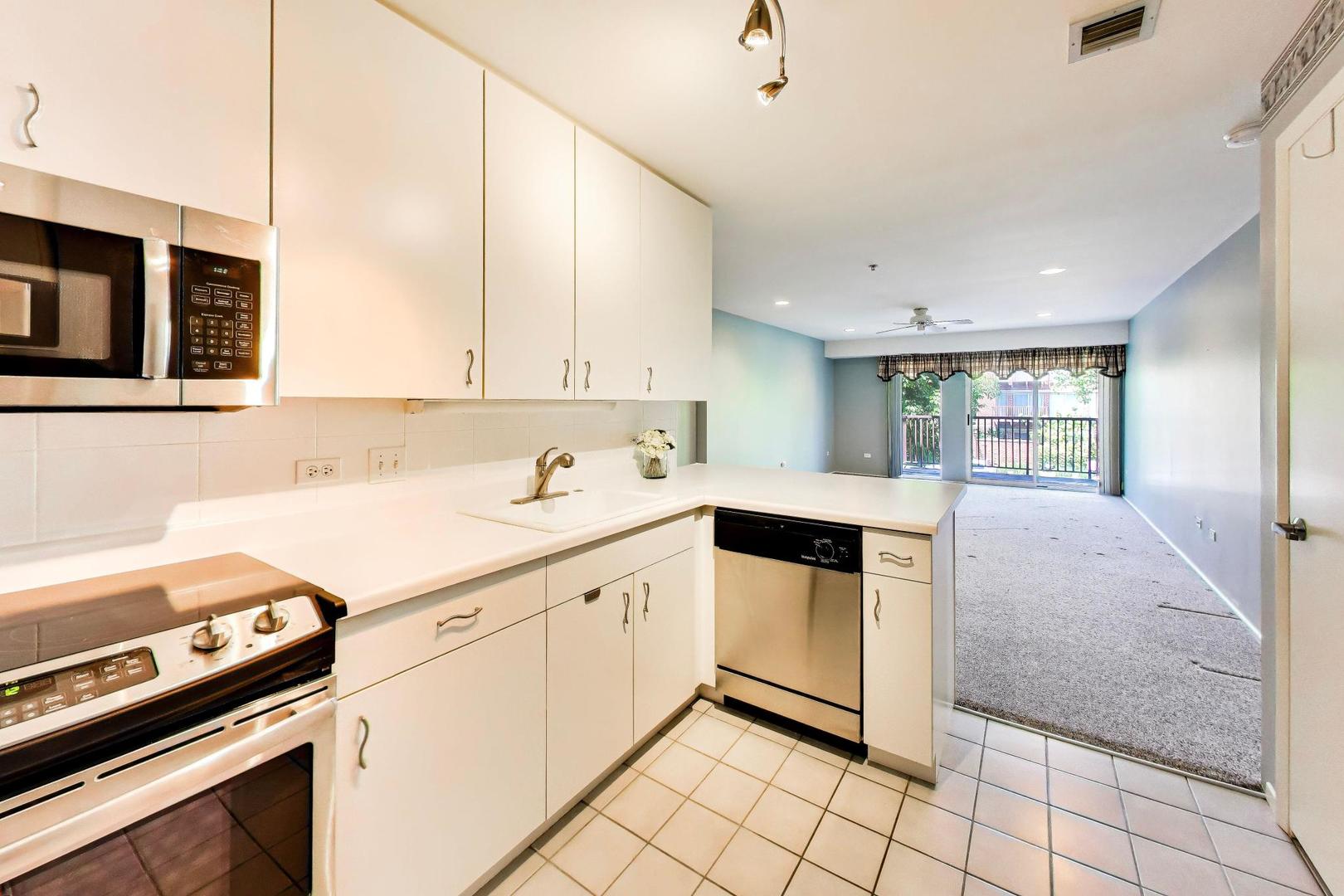 382 Kelburn Road, Unit 221 Deerfield, IL 60015 - Photo 7 of 18
