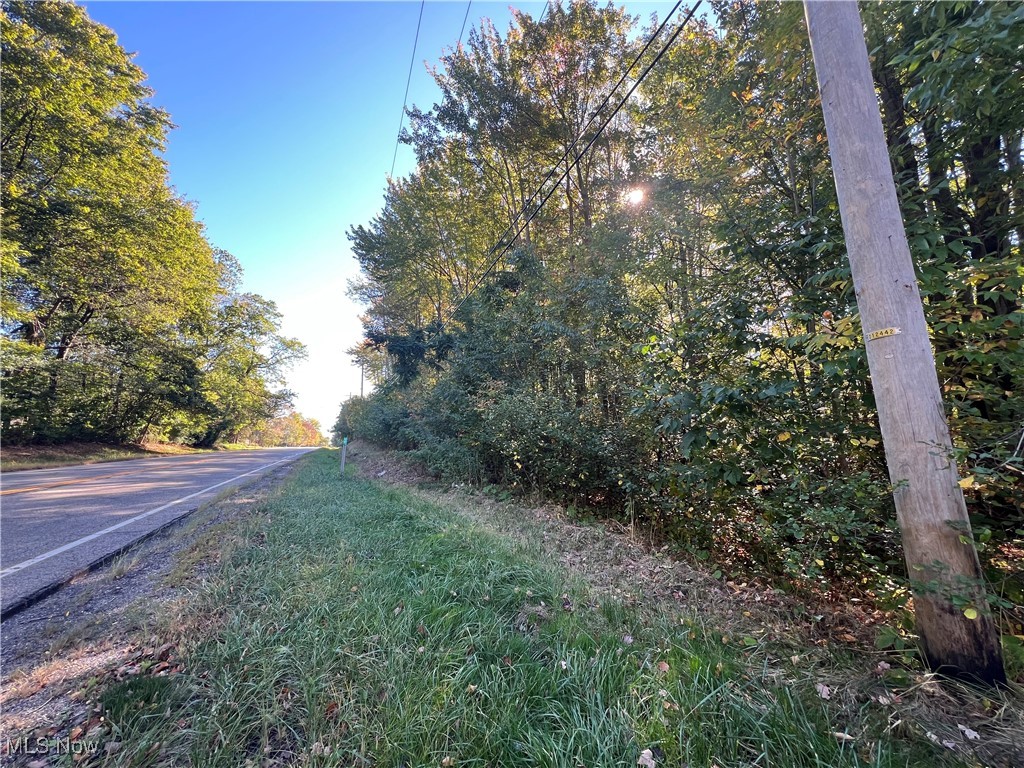 8625 Bainbridge Road Chagrin Falls, OH 44023 - Photo 18 of 20 View of asphalt street with a wooded view