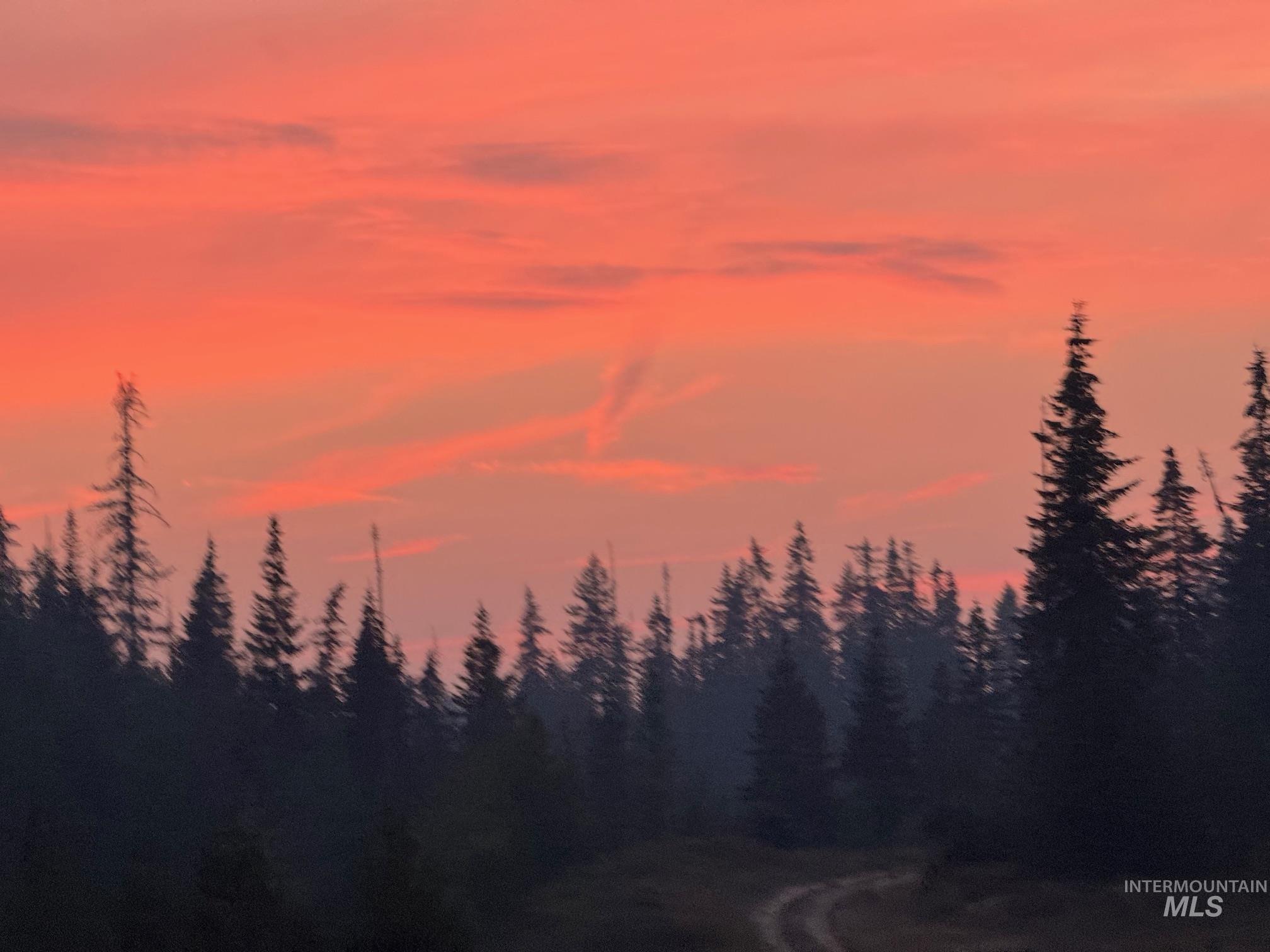 View of nature at dusk