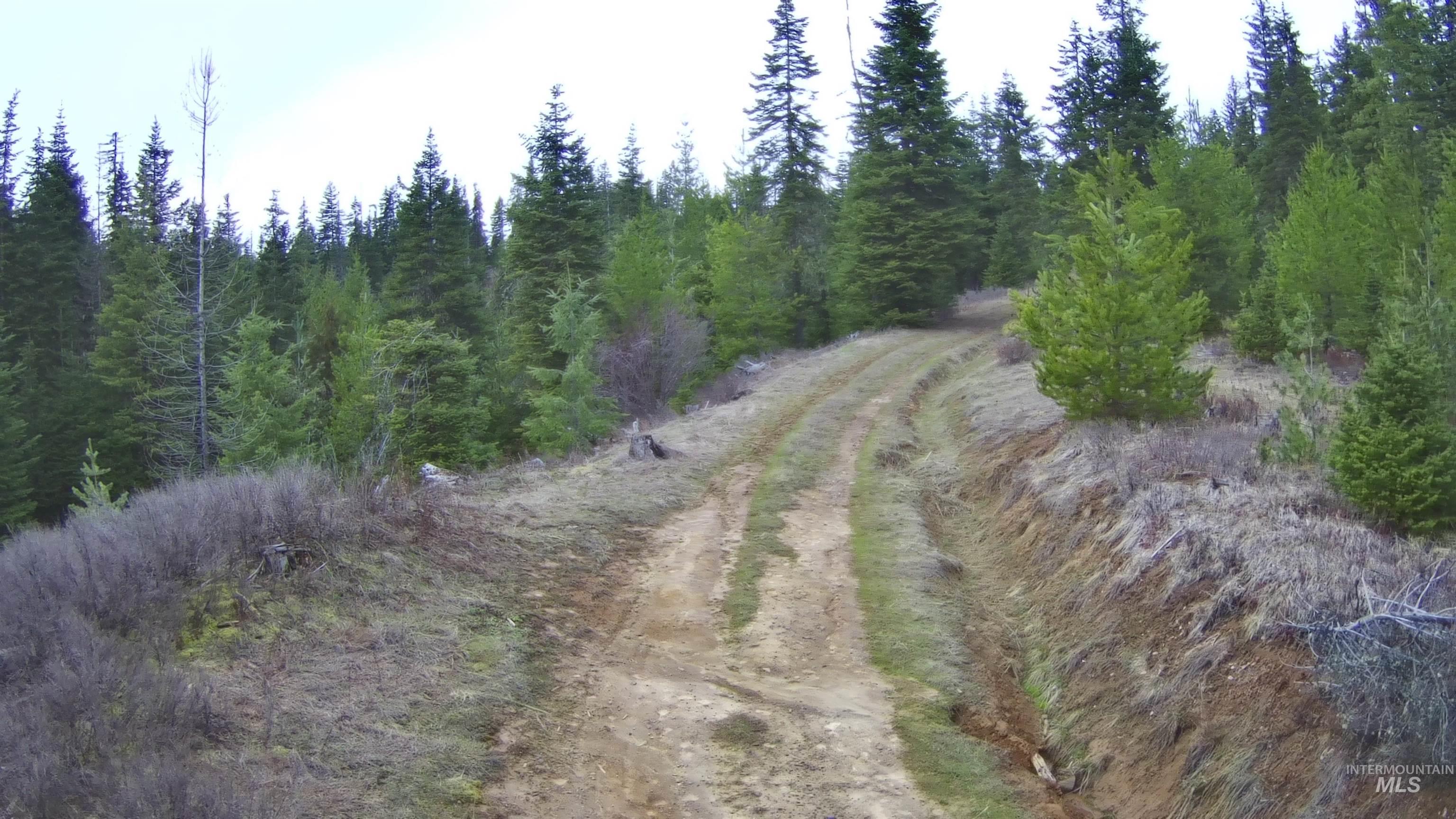 View of wooded area