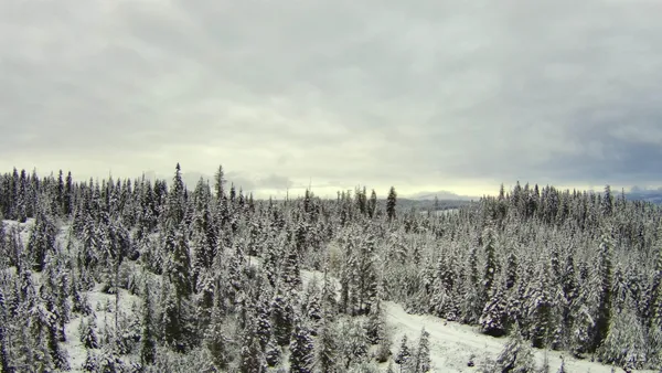 $649,000 | 11 Weippe Id 83553, Weippe, ID 83553