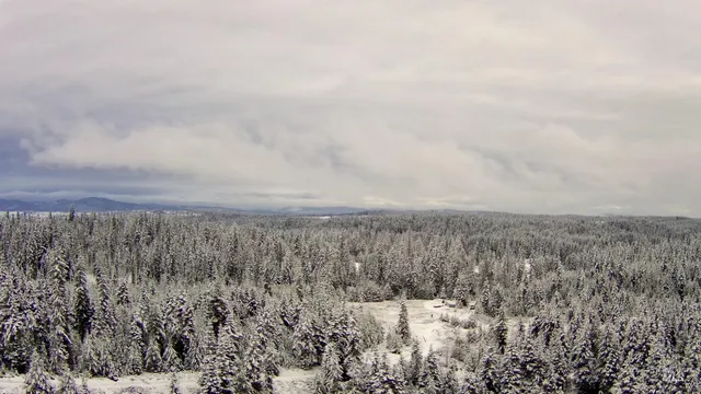 $679,000 | 11 Weippe Id 83553, Weippe, ID 83553