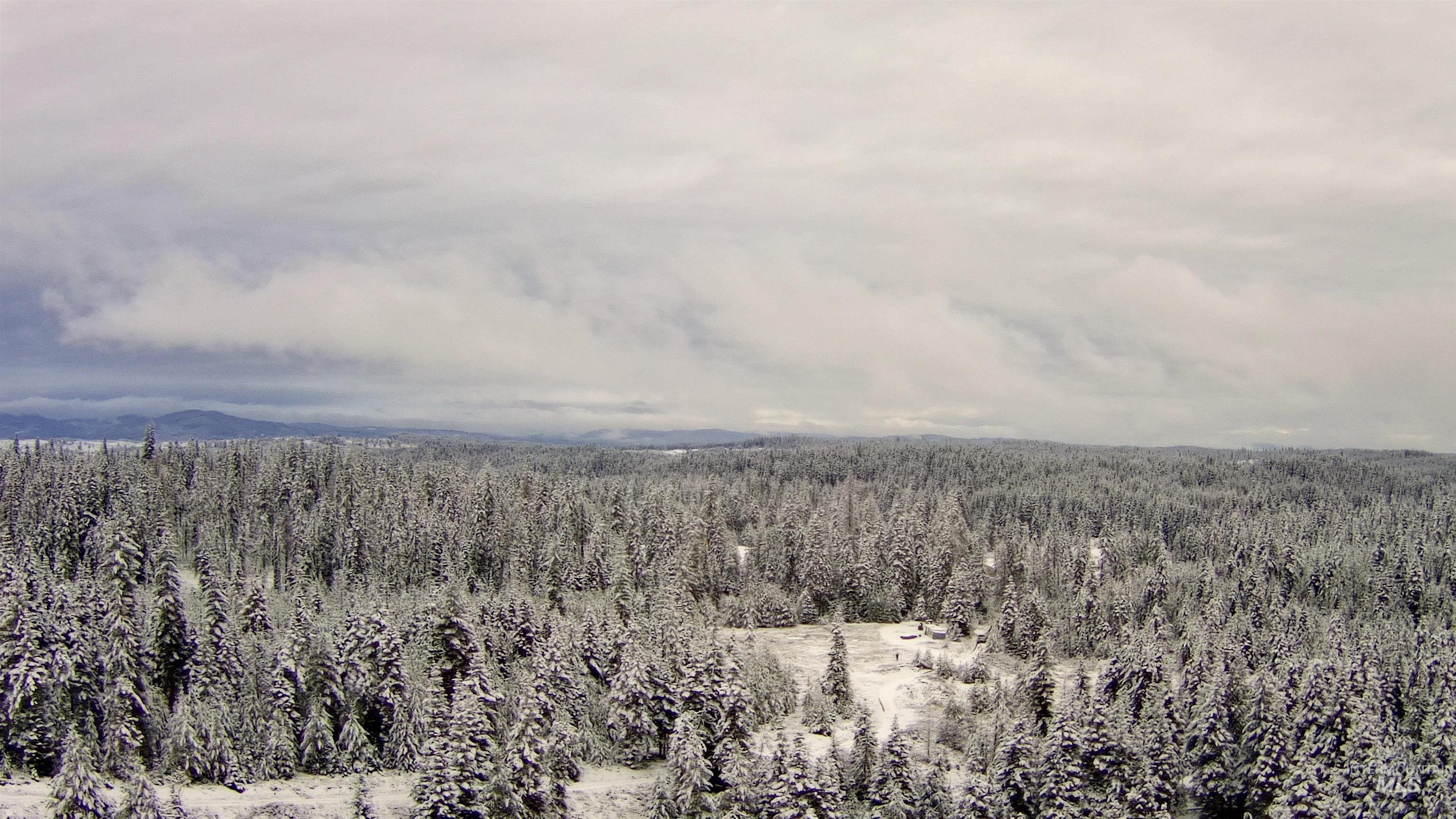 11 Weippe Id 83553 Weippe, ID 83553 - Photo 20 of 23 Bird's eye view of a heavily wooded area