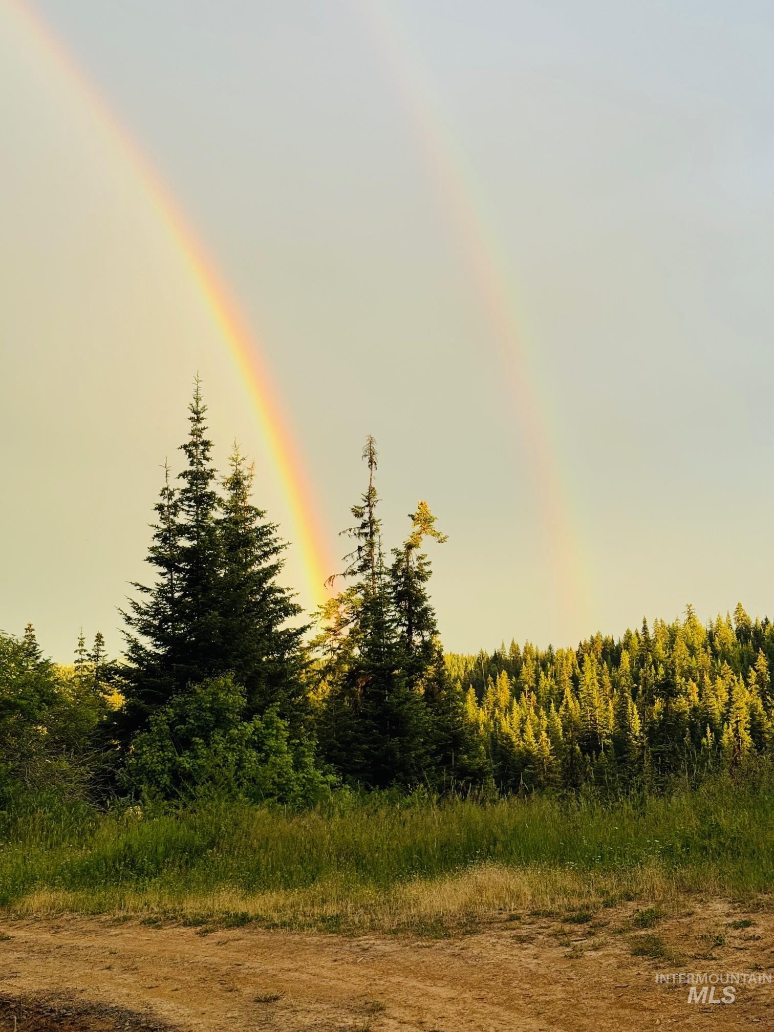 11 Weippe Id 83553 Weippe, ID 83553 - Photo 2 of 23 View of wooded area