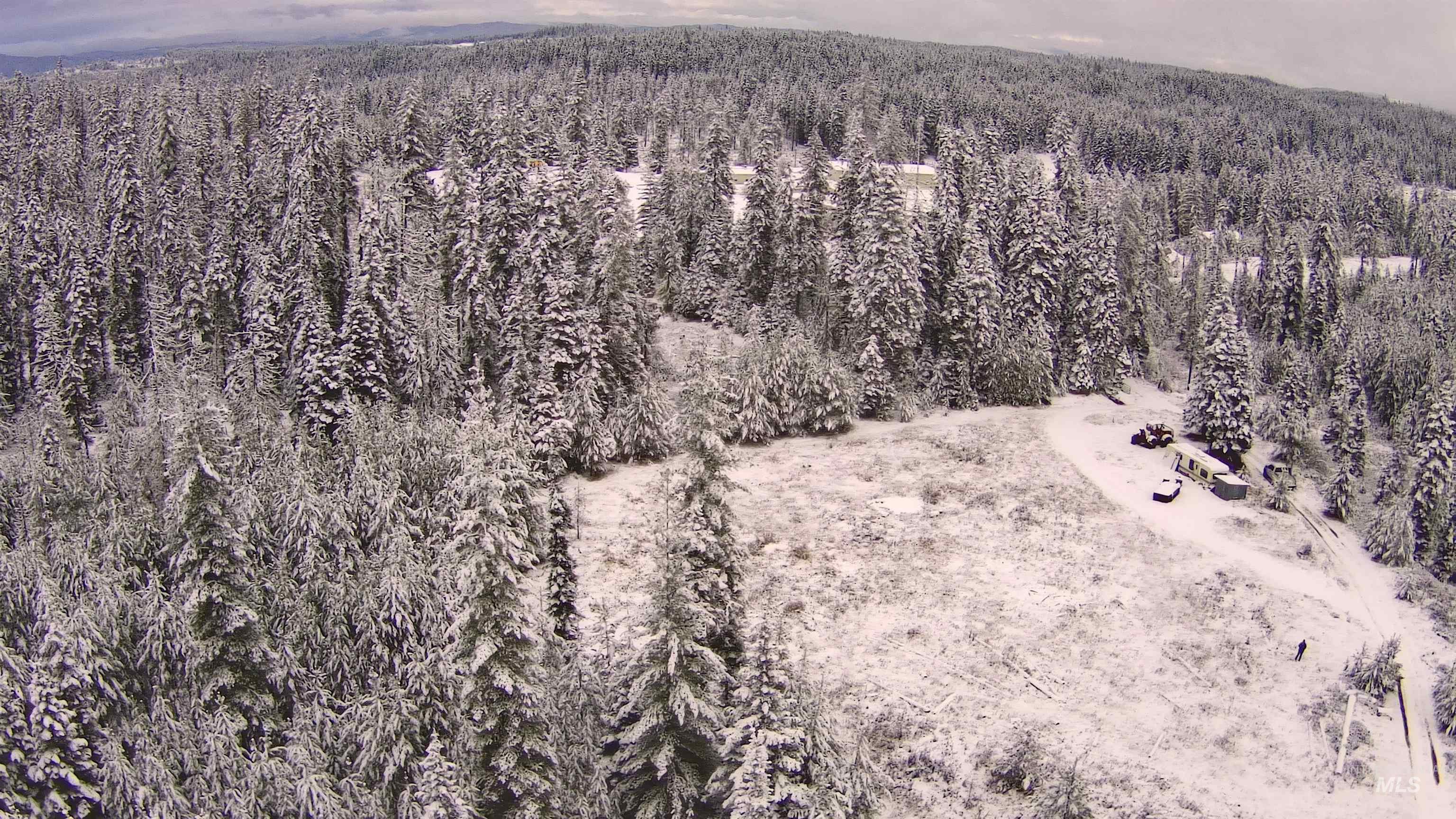 11 Weippe Id 83553 Weippe, ID 83553 - Photo 21 of 23 Bird's eye view of a forest