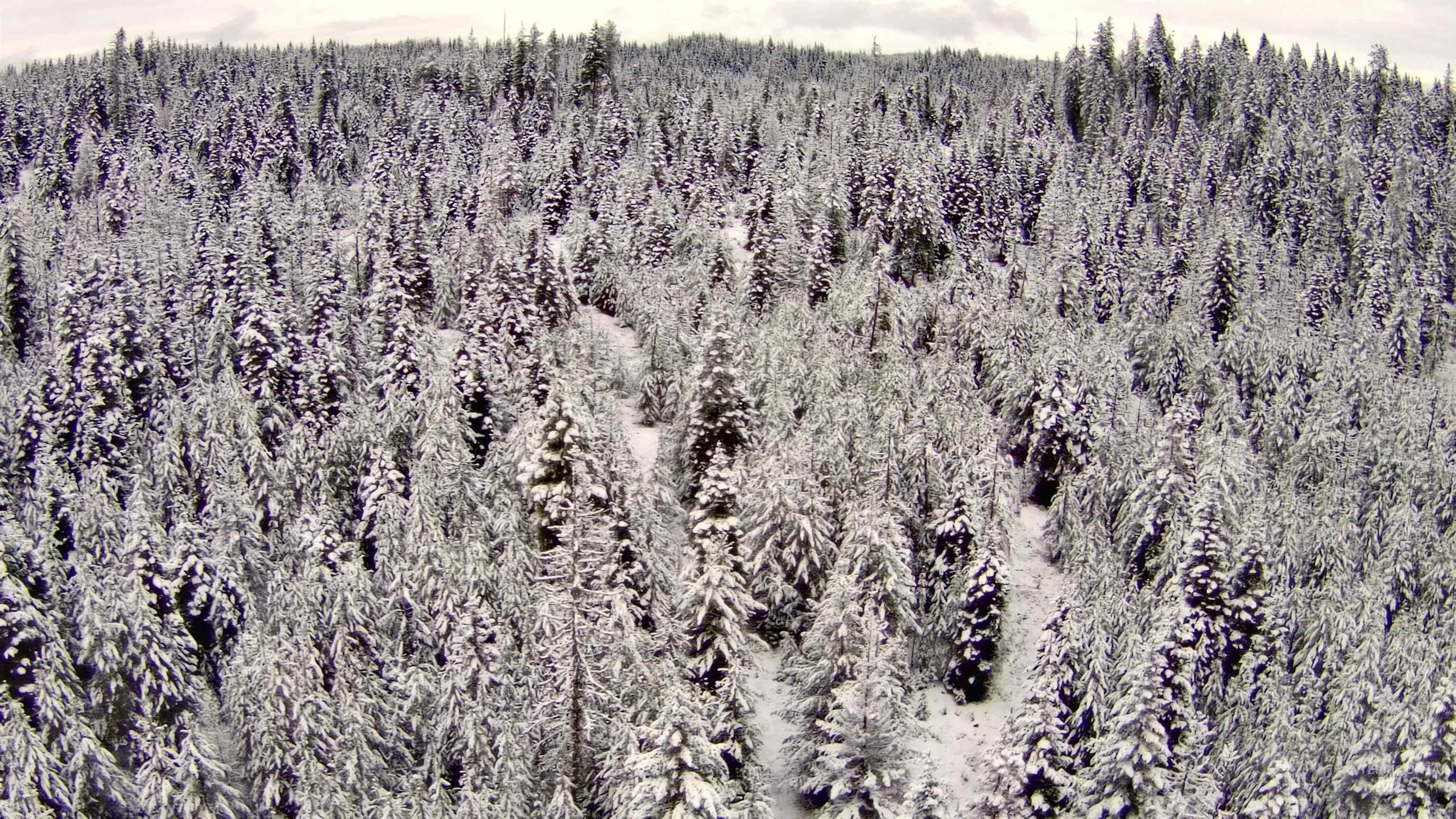 11 Weippe Id 83553 Weippe, ID 83553 - Photo 25 of 35 Bird's eye view