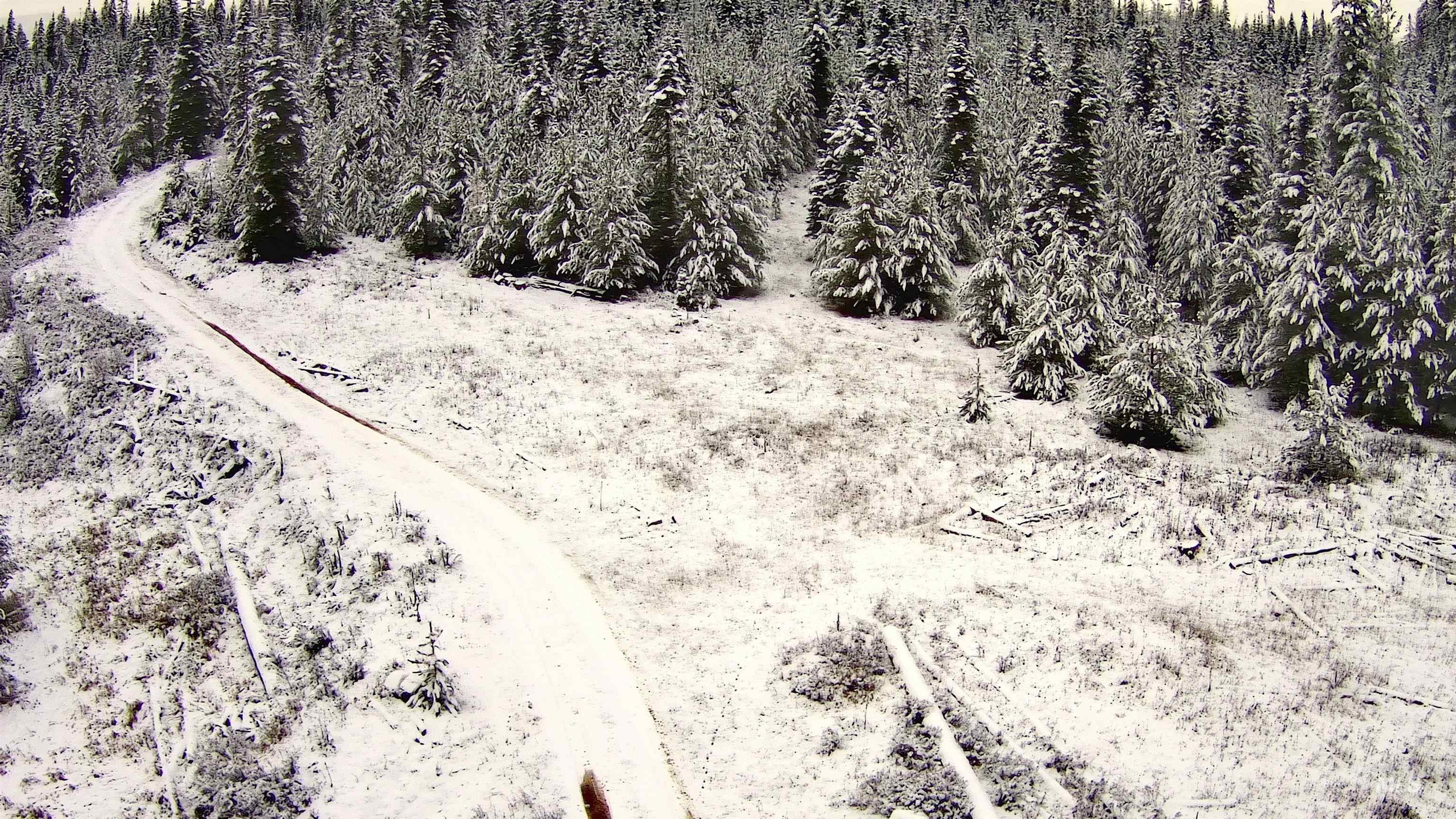 11 Weippe Id 83553 Weippe, ID 83553 - Photo 28 of 34 Bird's eye view