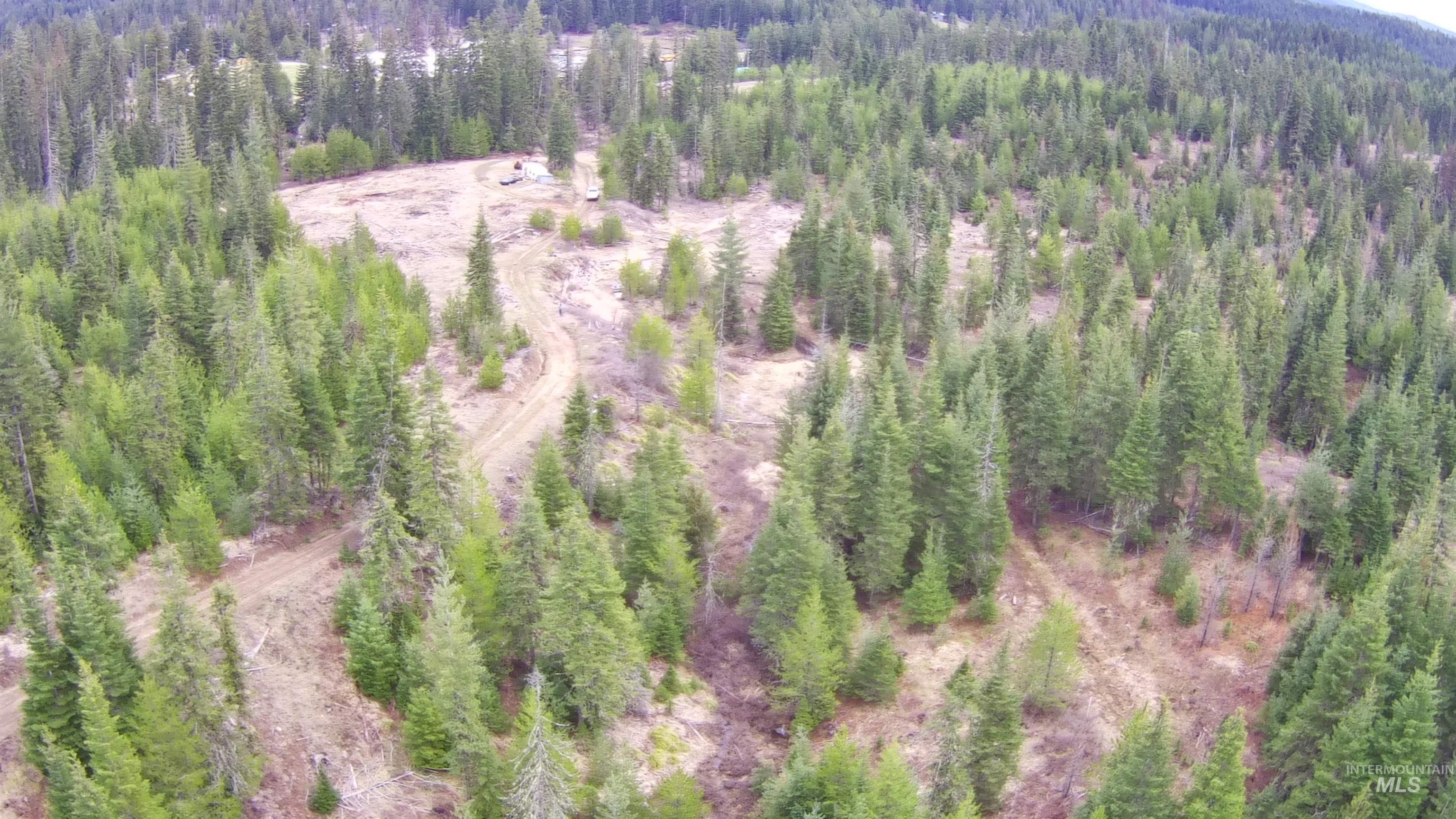 11 Weippe Id 83553 Weippe, ID 83553 - Photo 3 of 34 Drone / aerial view of a forest