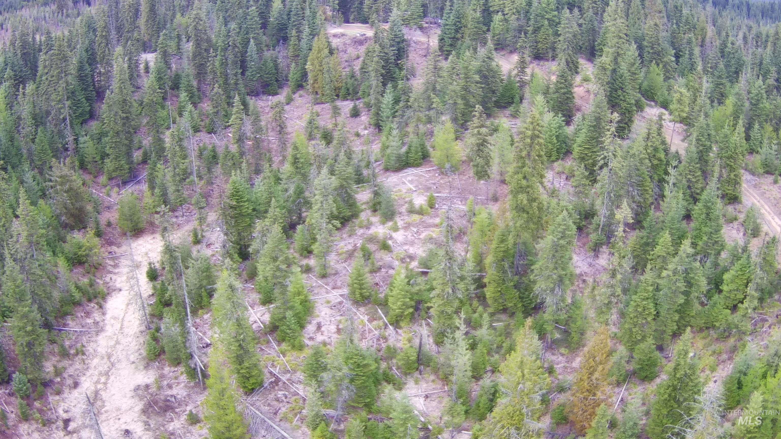 11 Weippe Id 83553 Weippe, ID 83553 - Photo 3 of 35 Bird's eye view