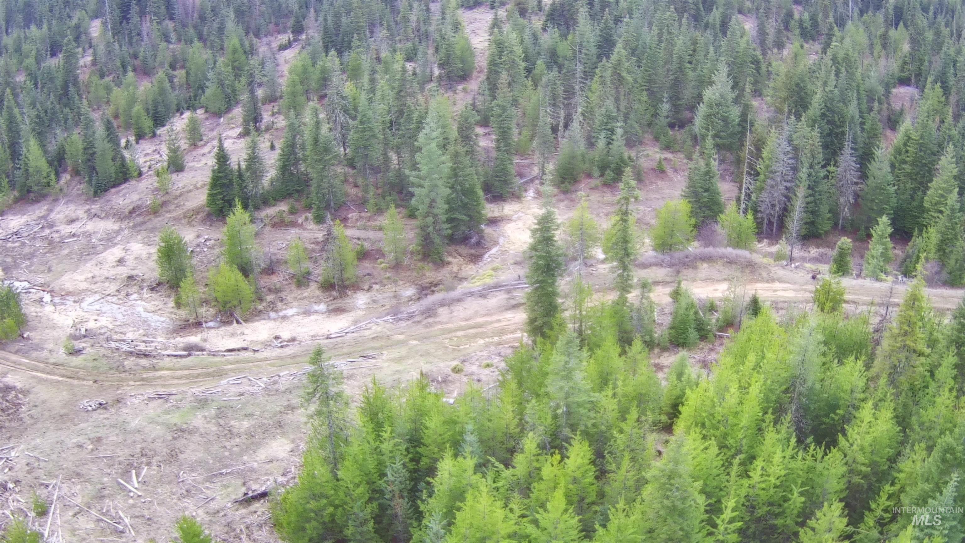 11 Weippe Id 83553 Weippe, ID 83553 - Photo 32 of 34 Aerial view