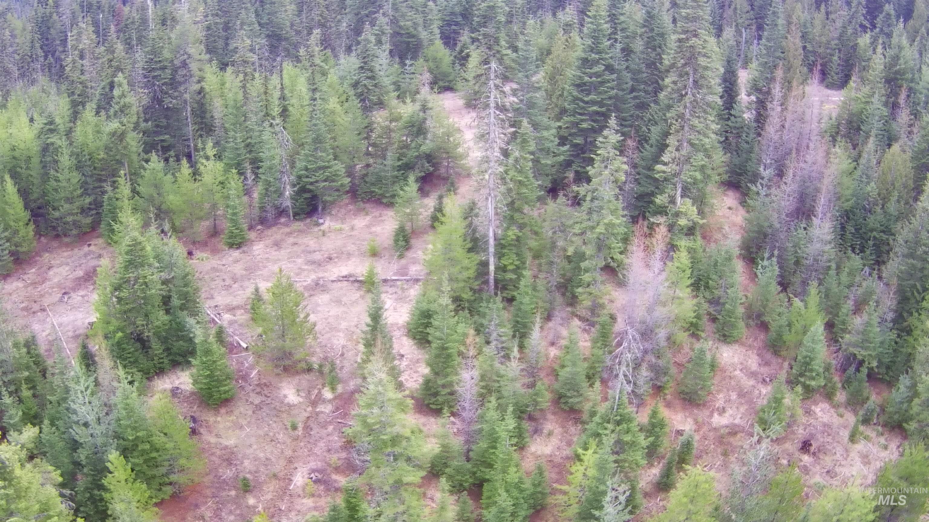 11 Weippe Id 83553 Weippe, ID 83553 - Photo 34 of 34 Bird's eye view