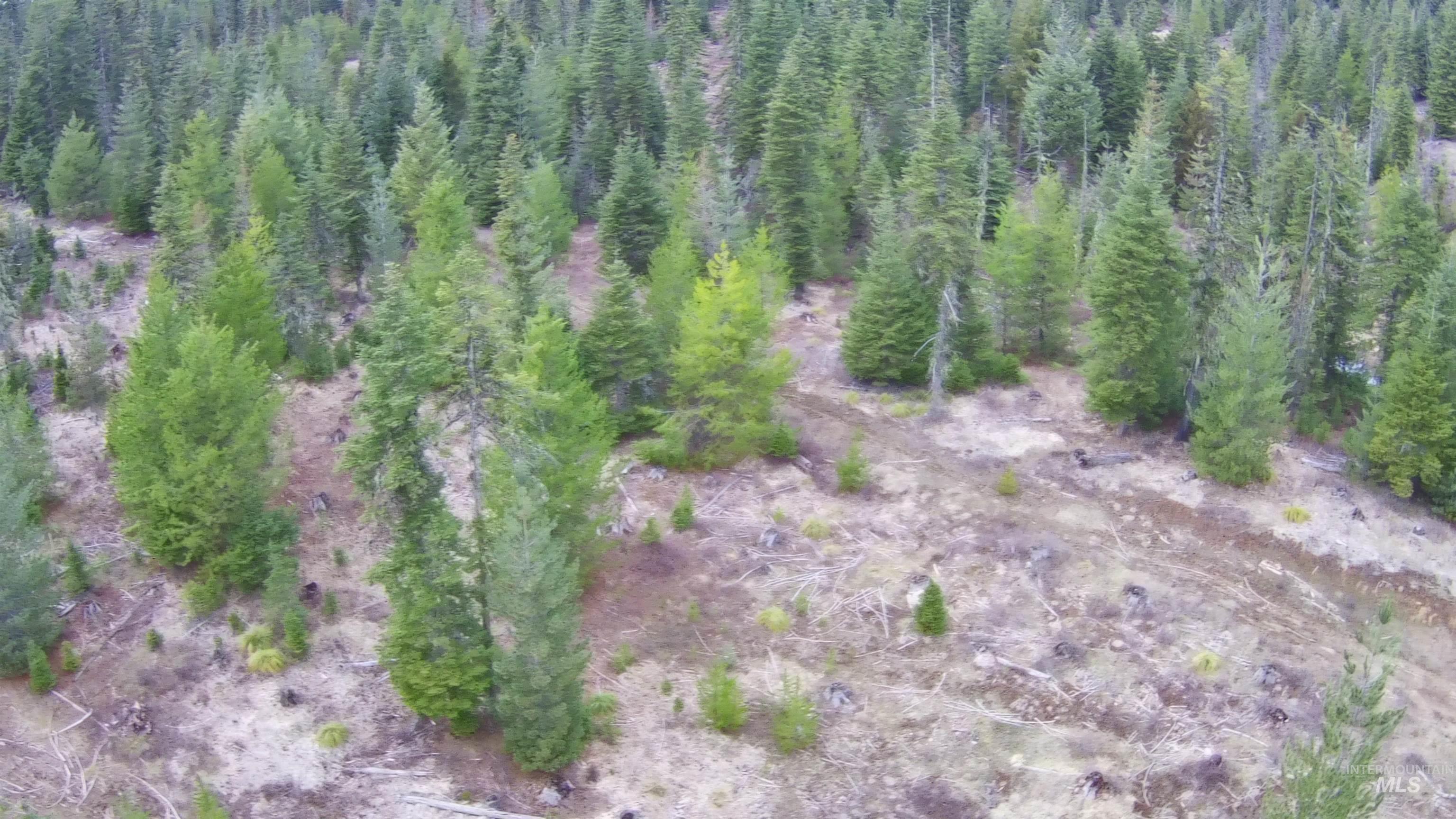11 Weippe Id 83553 Weippe, ID 83553 - Photo 34 of 35 Aerial view
