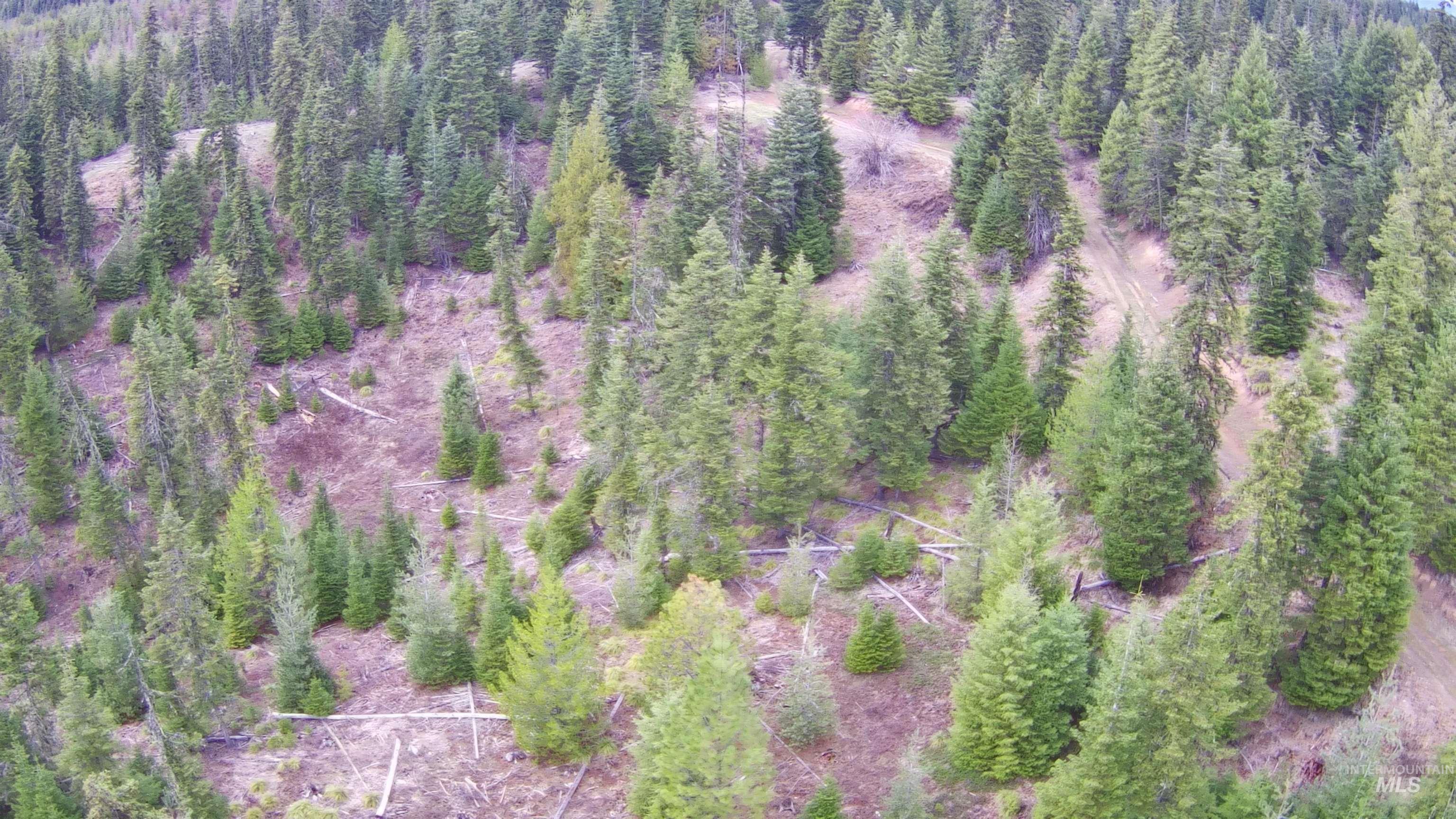 11 Weippe Id 83553 Weippe, ID 83553 - Photo 5 of 35 Aerial view