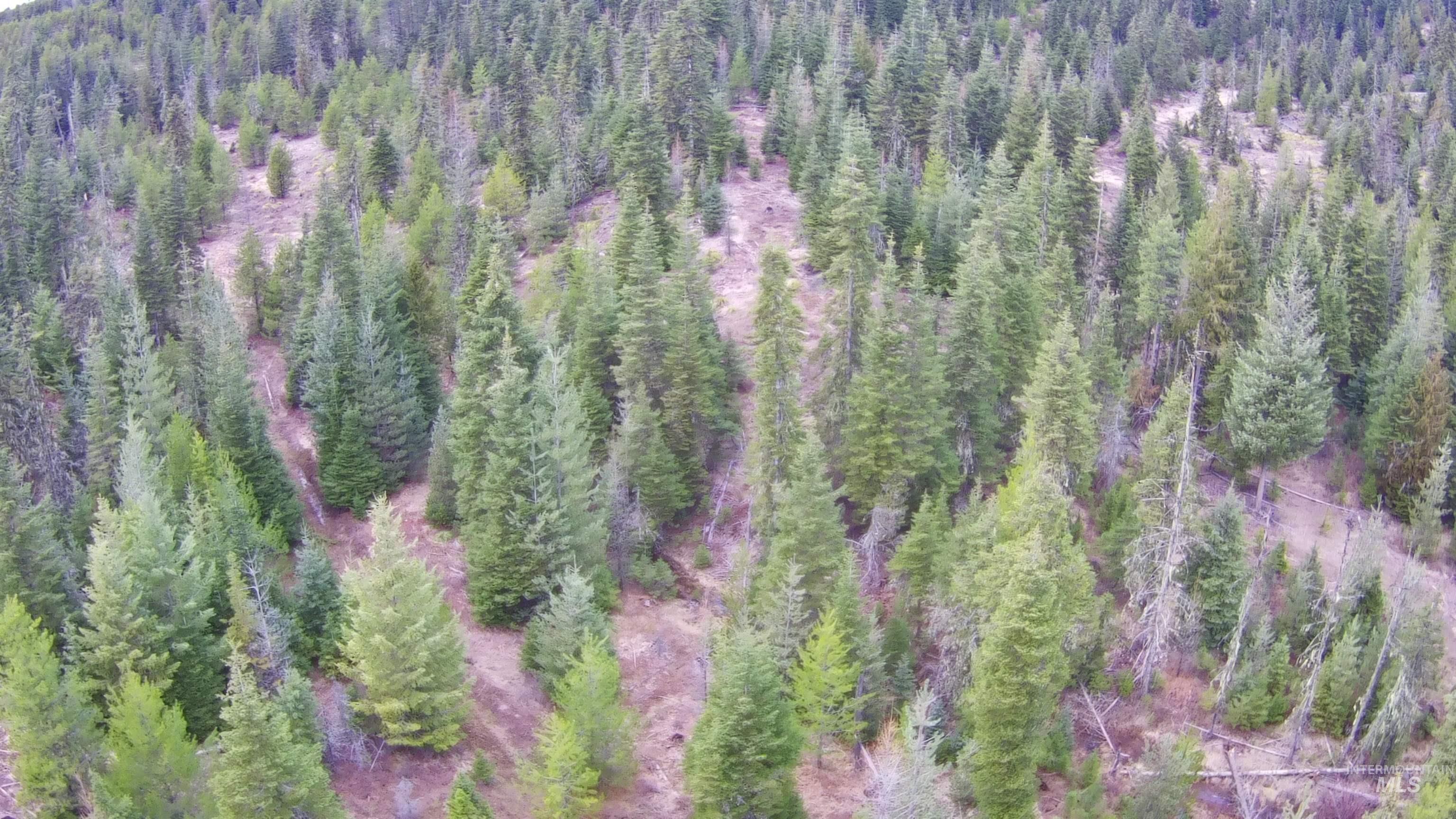 11 Weippe Id 83553 Weippe, ID 83553 - Photo 7 of 35 Bird's eye view