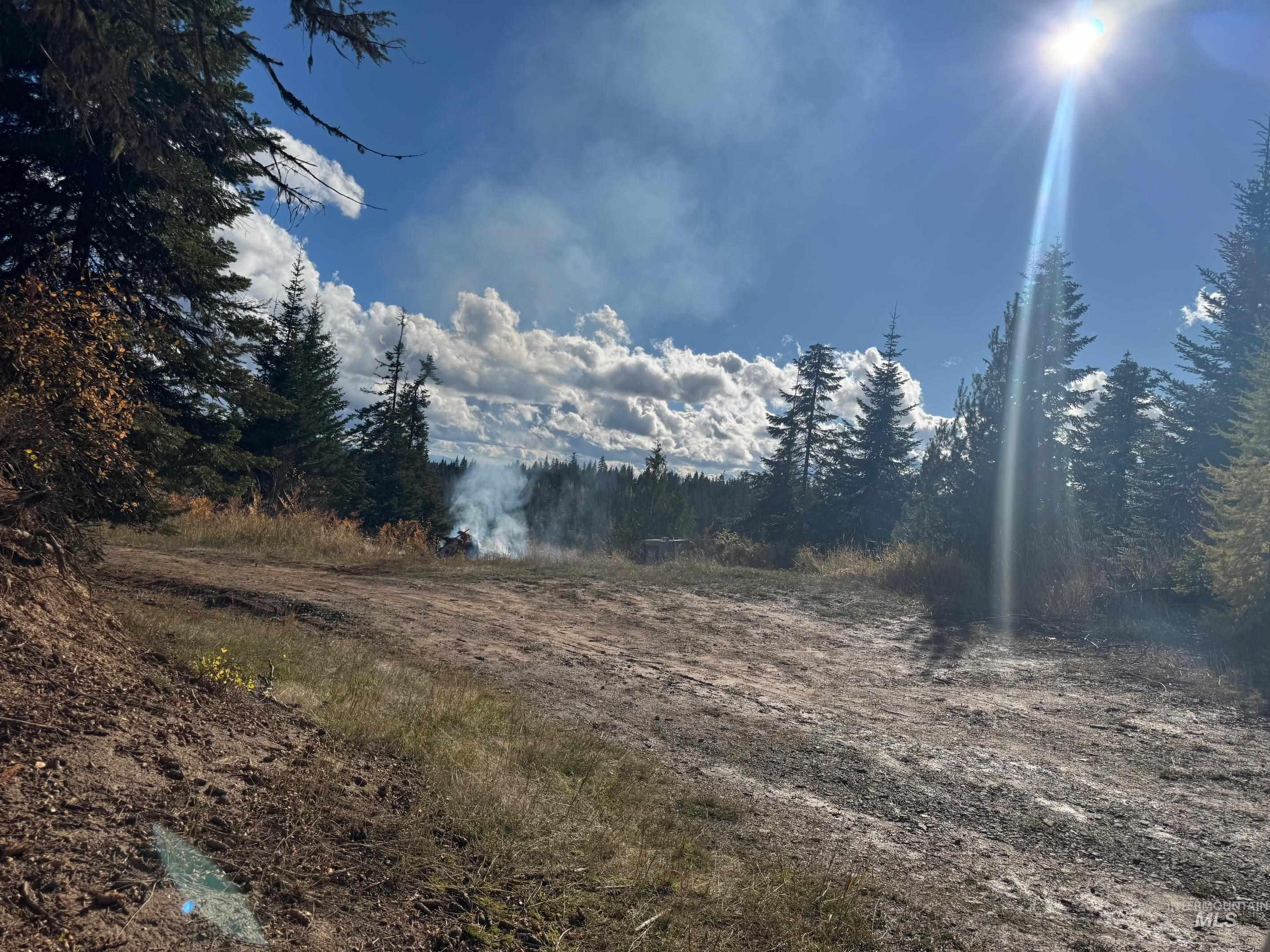 11 Weippe Id 83553 Weippe, ID 83553 - Photo 7 of 23 View of yard featuring a view of trees