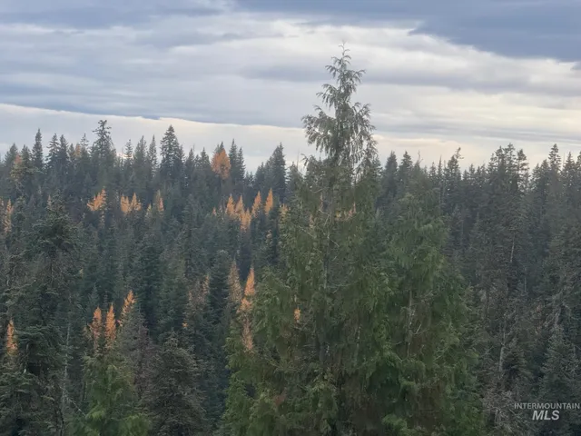 $679,000 | 11 Weippe Id 83553, Weippe, ID 83553