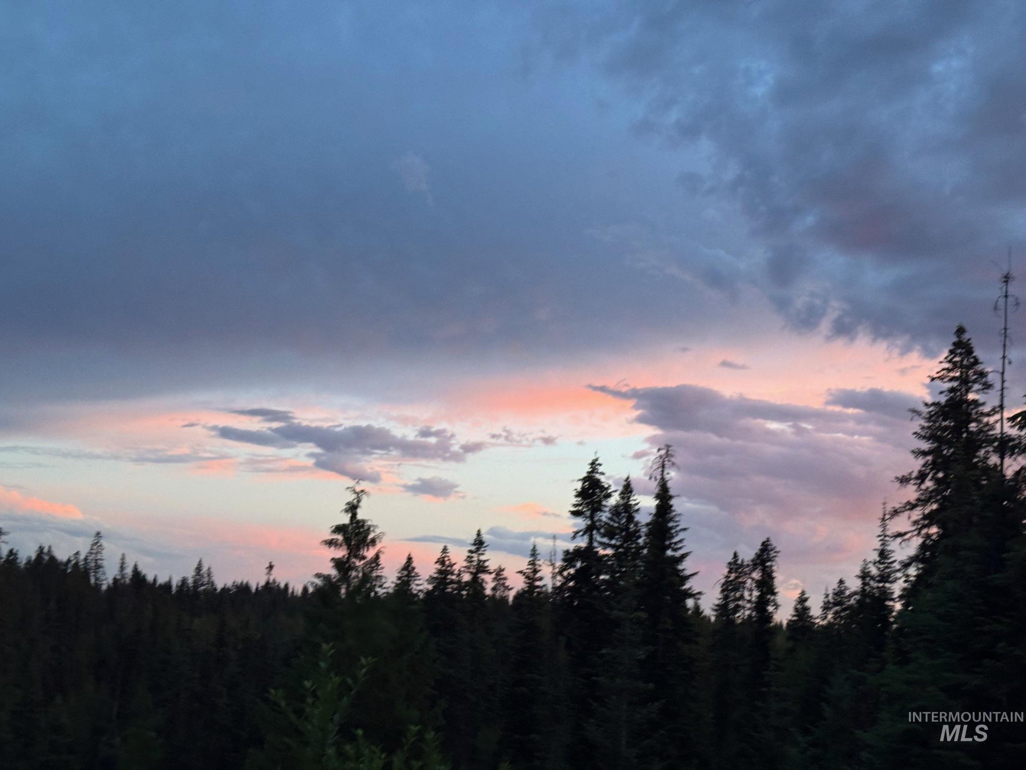 11 Weippe Id 83553 Weippe, ID 83553 - Photo 9 of 23 View of tree filled area