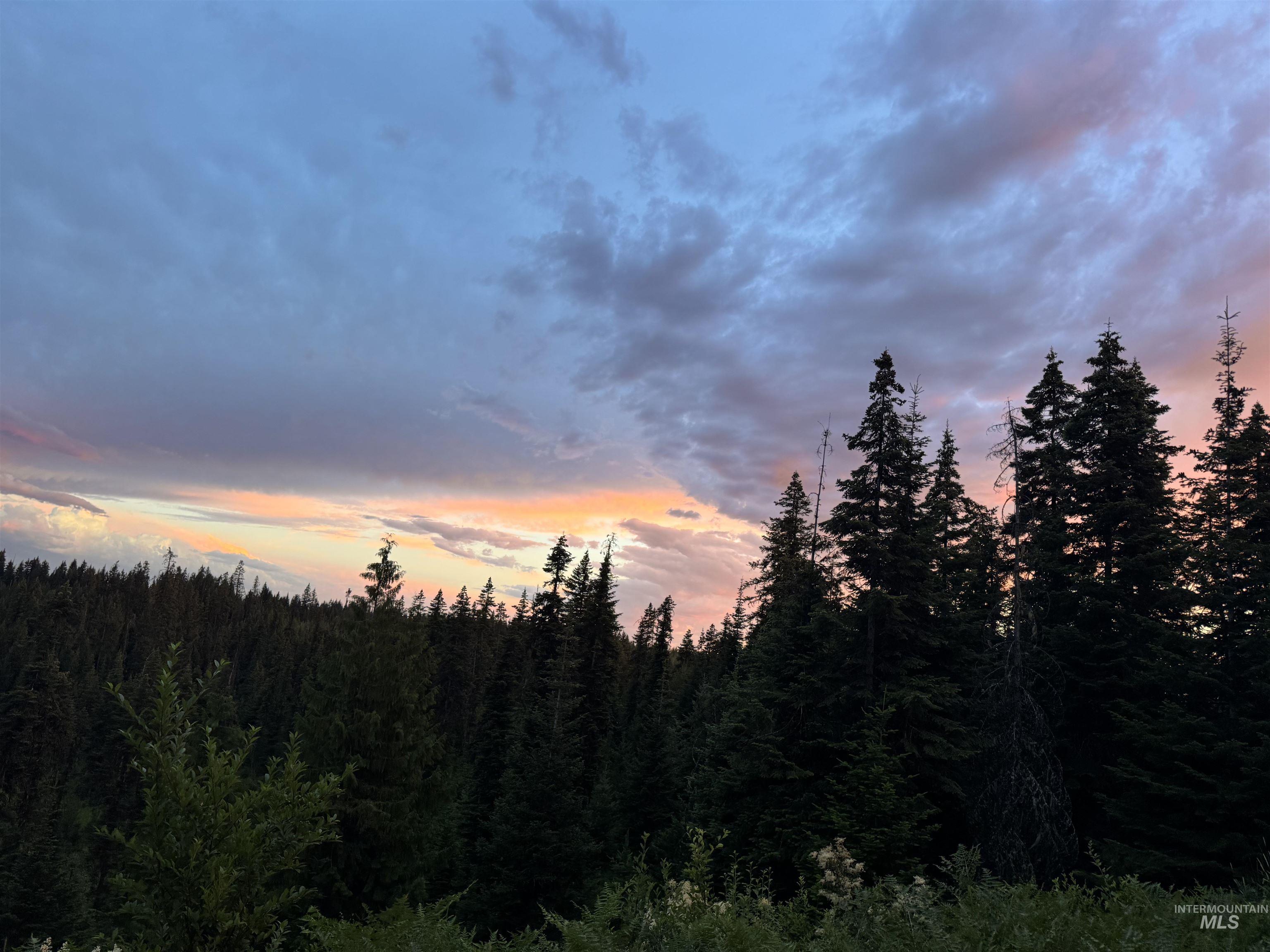 11 Weippe Id 83553 Weippe, ID 83553 - Photo 10 of 34 Nature at dusk with a view of trees