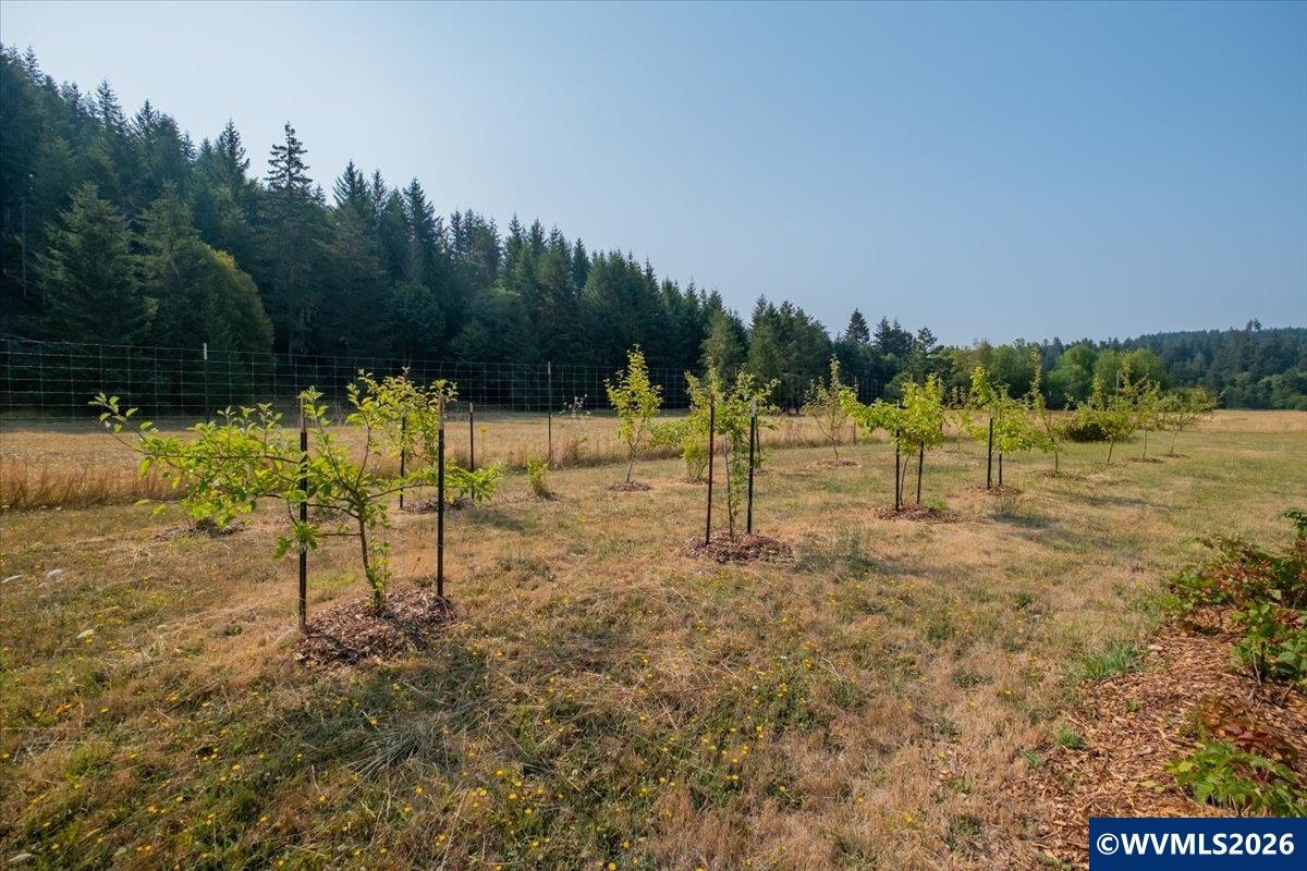 36435 Devitt Road Blodgett, OR 97326 - Photo 24 of 50 Gallery Image 24
