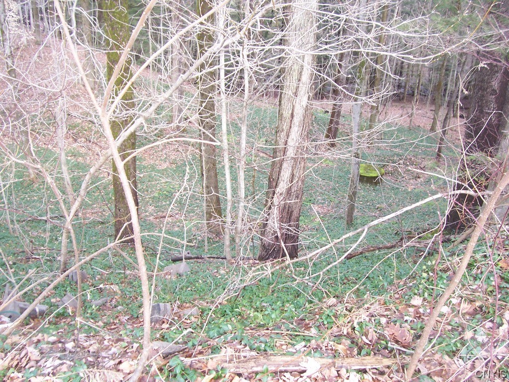 8798 Kiwanis Road Lee, NY 13440 - Photo 15 of 19 Side Yard